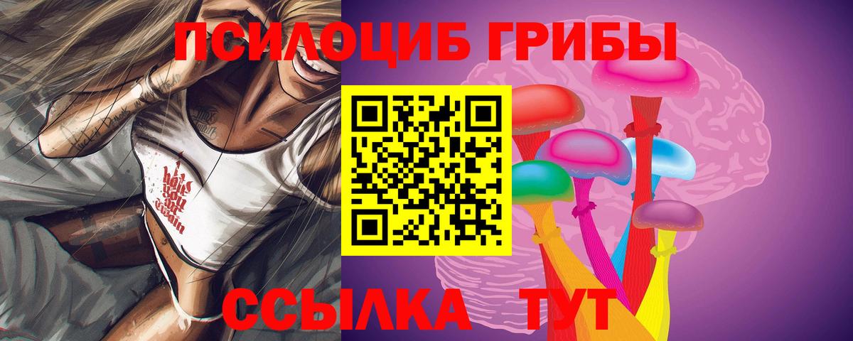 Кузнецк  Галлюциногенные грибы прущие грибы  Вход с VPN 